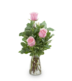 Pink Roses (3). An arrangement by The Flower Shop of Lake Charles.