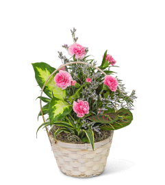 Dish Garden with Petite Pink Florals. An arrangement by The Flower Shop of Lake Charles.