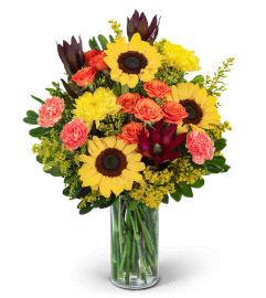 Sunbeam Splendor. An arrangement by The Flower Shop of Lake Charles.