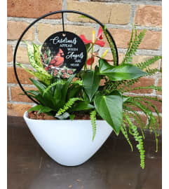 'By Design' Cardinals Appear When Angels... Planter. An arrangement by Flowers By Design.