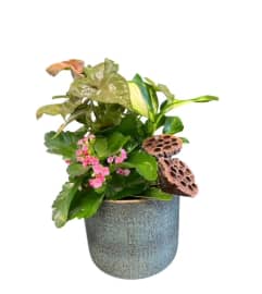 Serene Blooms Planter. An arrangement by Marianna's Flower Island.