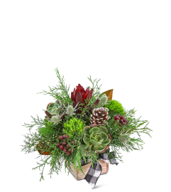 Seasonal Serenity. An arrangement by The Flower Shop of Lake Charles.