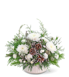 Frosted Oasis. An arrangement by The Flower Shop of Lake Charles.