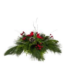 Cardinal Bliss. An arrangement by Goodman's Florist.
