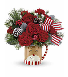 Teleflora's Darling Rudolph Bouquet. An arrangement by Sponseller's Flower Shop Inc.