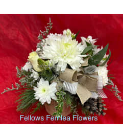 Fellows Winter Grace. An arrangement by Fellows Fernlea Flowers. Fellows Winter Grace. An arrangement by Fellows Fernlea Flowers.