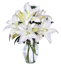 White Lily Vase Arrangement. An arrangement by Jennings Florists.