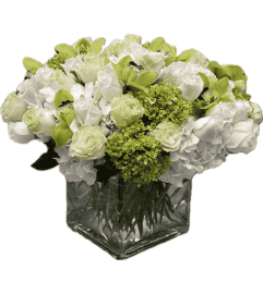Elegant Green and White Bliss. An arrangement by Bill's Flowers Arrangements.