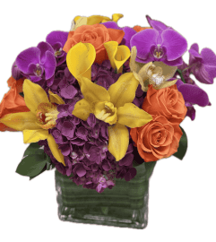 Tropical Radiance. An arrangement by Bill's Flowers Arrangements.