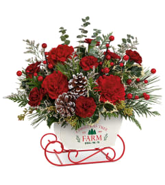 Snow What Fun Bouquet (Teleflora). An arrangement by North Liberty Flower Shop.