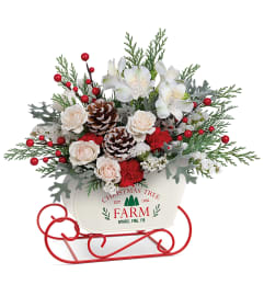 Winter Sleigh Bouquet (Teleflora). An arrangement by North Liberty Flower Shop.