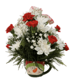 Christmas Mug Arrangement. An arrangement by Evergreen and Lily Floral Studio and Gifts. Christmas Mug Arrangement. An arrangement by Evergreen and Lily Floral Studio and Gifts.