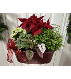 Christmas Planter. An arrangement by Linda's Floral Designs.