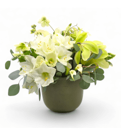 Nature's Harmony Vase. An arrangement by Appleblossoms.