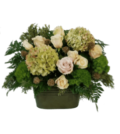 Ever So Green. An arrangement by Anne Marie Rose Floral Design.