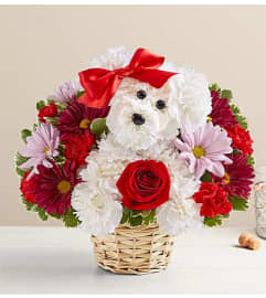 Love Pup. An arrangement by Palmetto Gardens Florist.