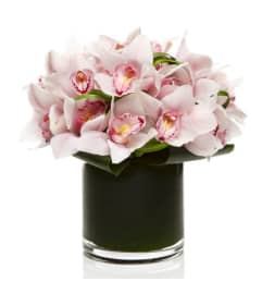 Blushing Bombshell by Twigs and Blooms. An arrangement by Twigs and Blooms Florist.
