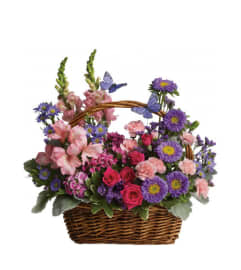 Butterfly Garden Basket. An arrangement by Grower Direct.