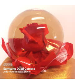 Red Rose Globe. An arrangement by Judy Nicholls Floral Studio.