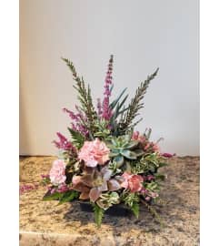 Sassy Succulent. An arrangement by Zaisers Florist and Greenhouse.