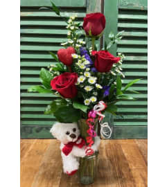 Bears Enchanted Daisy Delight. An arrangement by Forest Florist. Bears Enchanted Daisy Delight. An arrangement by Forest Florist.