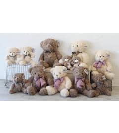 Baxter Bear. An arrangement by Love Floral.