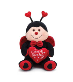 12 LadyBug Plush. An arrangement by Marivel's Florist and Gifts.
