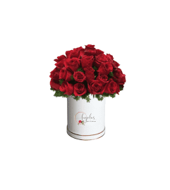 Rose Love Affair. An arrangement by Angela's Red Flowers.