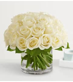 Romance White Rose. An arrangement by Brickell Exclusive Blooms.