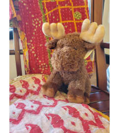 Morton The Moose. An arrangement by Thurston Flowers.