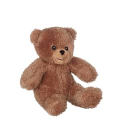 9 Brown Bucky Bear. An arrangement by Roma James Gifts.