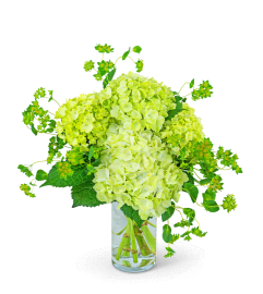 Green Glow. An arrangement by The Flower Shop of Lake Charles.