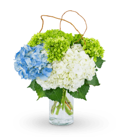 Hydrangea Perfection. An arrangement by The Flower Shop of Lake Charles.