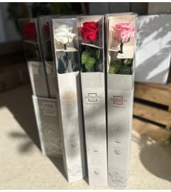 Forever Rose. An arrangement by Flower Trends Florists.