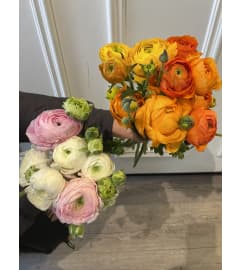 Ranunculus Bundle. An arrangement by Edna Miller Flowers and Gifts Inc..