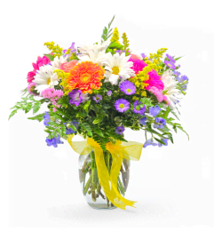 Rainbow Radiance. An arrangement by Appleblossoms.