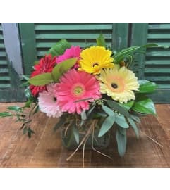 Gerbera Bliss. An arrangement by Forest Florist.