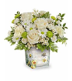 Sweet Bee. An arrangement by Jennings Florists. Sweet Bee. An arrangement by Jennings Florists.