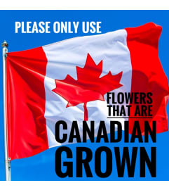 Canadian Grown Flowers please!. An arrangement by My Mother's Bloomers.