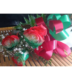 1 DOZEN ITALIAN FLAG ROSES. An arrangement by Howard Beach Florist.