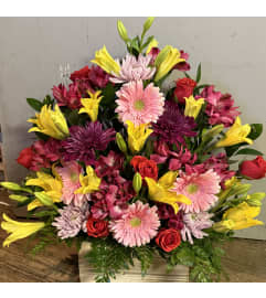 Spring Sympathy. An arrangement by Petals and Plants Plus.