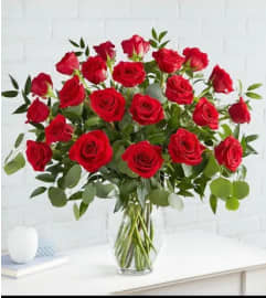 One Dozen Spring Special. An arrangement by Gallery Flower Shop N Services.