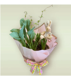 Spring Blooming Bulb Garden. An arrangement by Loyalist Flowers.