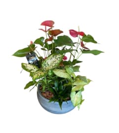 Tropical anthurium planter. An arrangement by Loyalist Flowers. Tropical anthurium planter. An arrangement by Loyalist Flowers.