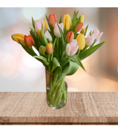 Think Spring!. An arrangement by Chamberlains by Modern Bloom.