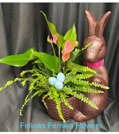 Mr. Fernlea Rabbit. An arrangement by Fellows Fernlea Flowers.