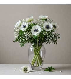 Anemone Snowfall. An arrangement by Garden Florist.