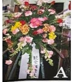 Spray 290A. An arrangement by Royal Louis Florist.