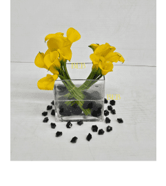 Yellow Cala Vibrant. An arrangement by Brickell Exclusive Blooms.