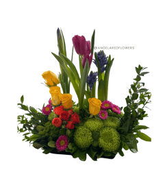 Spring Garden. An arrangement by Angela's Red Flowers. Spring Garden. An arrangement by Angela's Red Flowers.